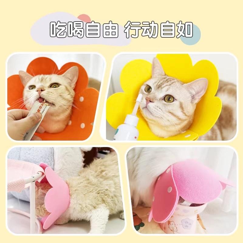 伊丽莎白圈猫咪绝育项圈防咬防舔脖套圈羞耻圈猫头套围脖宠物用品