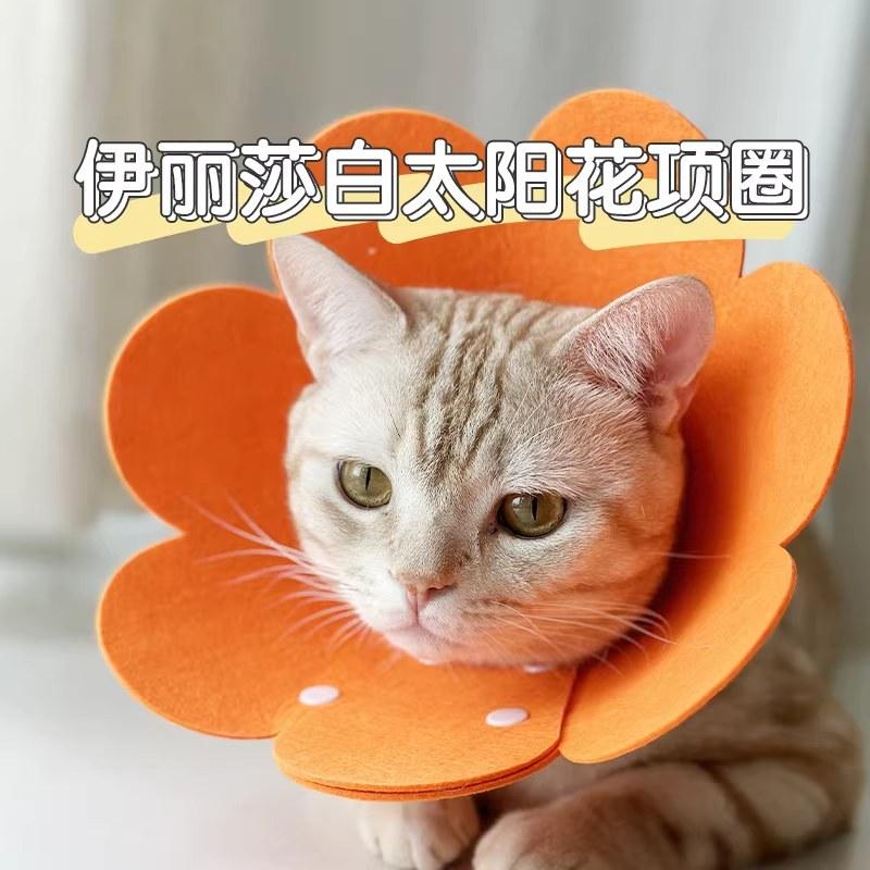 伊丽莎白圈猫咪绝育项圈防咬防舔脖套圈羞耻圈猫头套围脖宠物用品